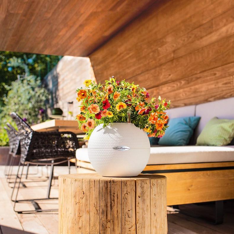 le_puro-color20_product_addi_03